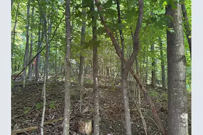 Lot 2 Park St. (Route 133), Livermore Falls, ME 04254 - Photo 11