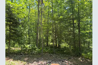 Lot 5 Park St. (Route 133), Livermore Falls, ME 04254 - Photo 13