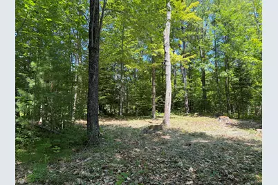 Lot 5 Park St. (Route 133), Livermore Falls, ME 04254 - Photo 7