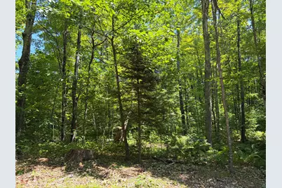 Lot 5 Park St. (Route 133), Livermore Falls, ME 04254 - Photo 15
