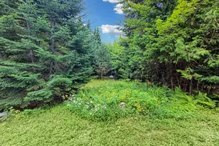 43 Hawksholm Trl, Greenville, ME 04441 - Photo 7
