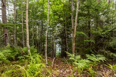 18 Birches Drive, Boothbay, ME 04537 - Photo 15