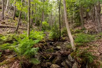 18 Birches Drive, Boothbay, ME 04537 - Photo 21