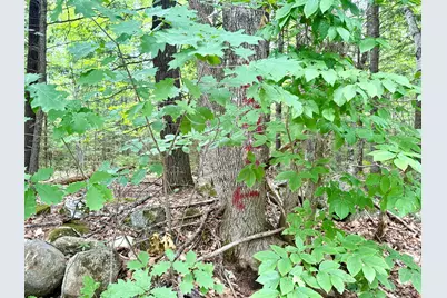 M5 L15-A Tibbetts Road, Mercer, ME 04957 - Photo 7