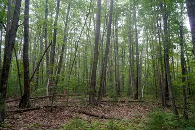 Tbd Moose Rocks Road, Kennebunkport, ME 04046 - Photo 5