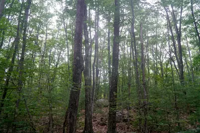 Tbd Moose Rocks Road, Kennebunkport, ME 04046 - Photo 7
