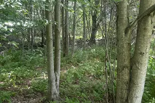 67 Pike Rd, Livermore, ME 04253 - Photo 13