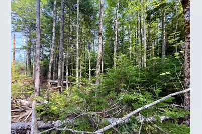 Lot 51 Us-1, Perry, ME 04667 - Photo 17
