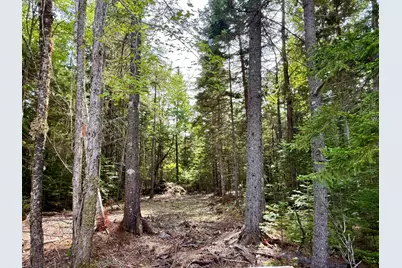 Lot 51 Us-1, Perry, ME 04667 - Photo 31