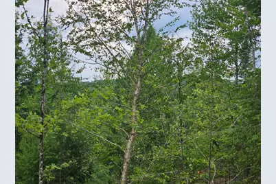 22-03 Rowell Mountain Road, Solon, ME 04979 - Photo 5