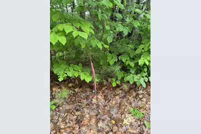 Lot 9B Whites Lane & Marquis Drive, Waterville, ME 04938 - Photo 3