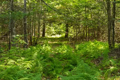 123 Moore Road, Washington, ME 04574 - Photo 15