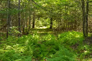 123 Moore Rd, Washington, ME 04574 - Photo 15
