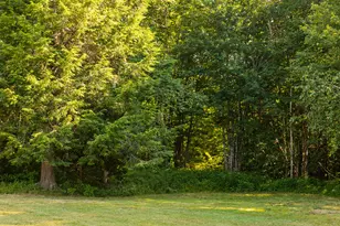 123 Moore Rd, Washington, ME 04574 - Photo 13