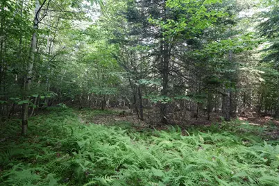 M25 Lot 28 N Green Street, Greenville, ME 04441 - Photo 3