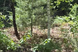 M11 Lot 02 Joseph Way, Waterboro, ME 04030 - Photo 1