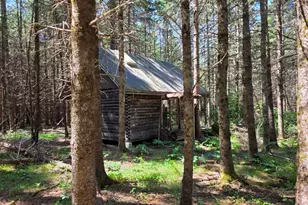 871 Estabrook Rd, Amity, ME 04471 - Photo 37