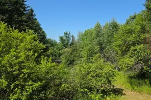 871 Estabrook Rd, Amity, ME 04471 - Photo 5