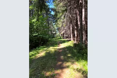 871 Estabrook Road, Amity, ME 04471 - Photo 19