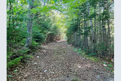 557 Paul Bunyan Road, Gouldsboro, ME 04607 - Photo 5