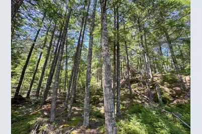 35 SW Brook Lane, Beddington, ME 04622 - Photo 15