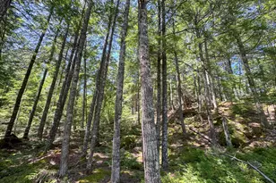 35 SW Brk Ln, Beddington, ME 04622 - Photo 15