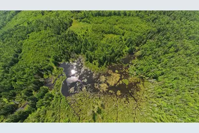 385 Johnson Flat Road, Pittsfield, ME 04967 - Photo 11
