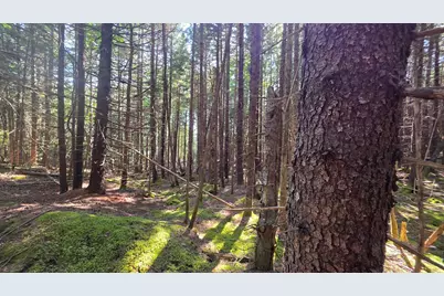 Map 1 Lot 10-2 Patten Rd, Jonesboro, ME 04648 - Photo 23