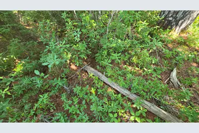 Map 1 Lot 10-2 Patten Rd, Jonesboro, ME 04648 - Photo 17