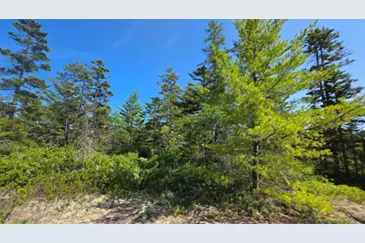 Map 1 Lot 10-2 Patten Rd, Jonesboro, ME 04648 - Photo 13
