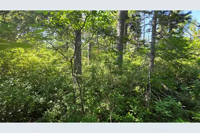 Map 1 Lot 10-2 Patten Rd, Jonesboro, ME 04648 - Photo 3