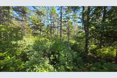 Map 1 Lot 10-2 Patten Rd, Jonesboro, ME 04648 - Photo 15