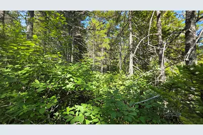 Map 1 Lot 10-2 Patten Rd, Jonesboro, ME 04648 - Photo 9
