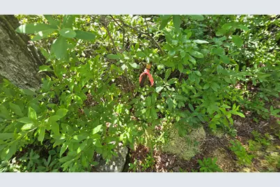 Map 1 Lot 10-2 Patten Rd, Jonesboro, ME 04648 - Photo 5