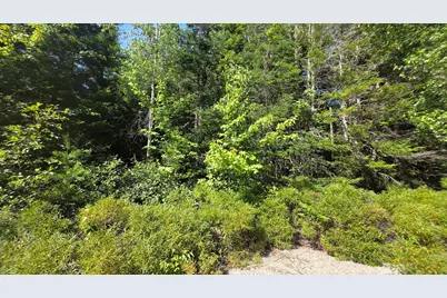 Map 1 Lot 10-2 Patten Rd, Jonesboro, ME 04648 - Photo 21
