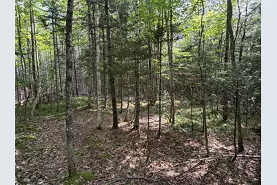 Lot 4,5,6 Holley Road, Farmington, ME 04938 - Photo 7