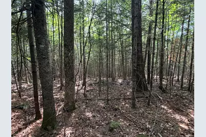 Lot 4,5,6 Holley Road, Farmington, ME 04938 - Photo 9