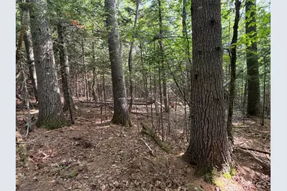 Lot 4,5,6 Holley Road, Farmington, ME 04938 - Photo 11