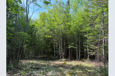 Lot 4,5,6 Holley Road, Farmington, ME 04938 - Photo 5