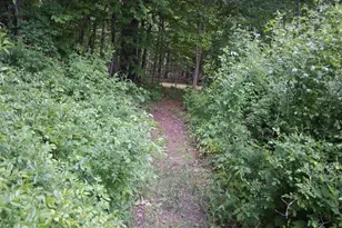 646 N Rd, Parsonsfield, ME 04047 - Photo 31