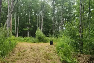 32 Town Farm Rd, Greenbush, ME 04418 - Photo 1