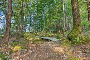 129 Ridge Rd, Frye Island, ME 04071 - Photo 47