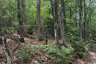 R3 L 2-2 Hampshire Hill Rd, Mercer, ME 04957 - Photo 1