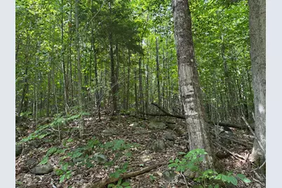 R3 L 2-2 Hampshire Hill Road, Mercer, ME 04957 - Photo 9