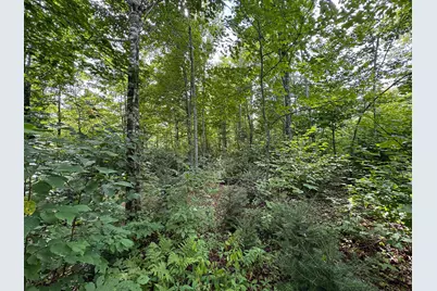 M3L11 Off Route 212, Merrill, ME 04780 - Photo 11