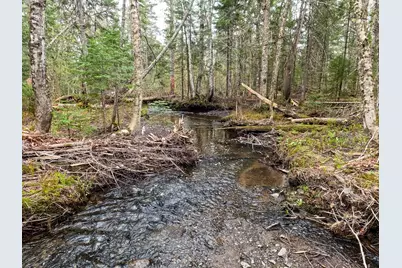 M3L11 Off Route 212, Merrill, ME 04780 - Photo 3