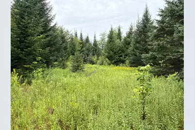 M3L11 Off Route 212, Merrill, ME 04780 - Photo 9