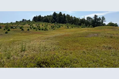 30 Acres Belden Woods Road, Palermo, ME 04354 - Photo 13