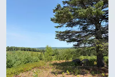 30 Acres Belden Woods Road, Palermo, ME 04354 - Photo 11