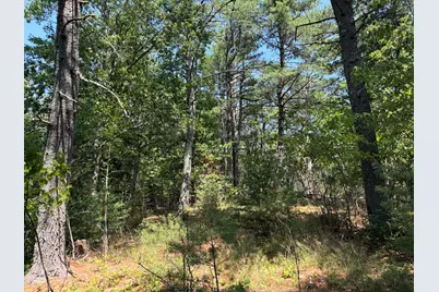 30 Acres Belden Woods Road, Palermo, ME 04354 - Photo 15